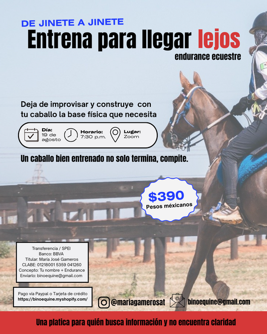 De jinete a jinete: Entrena para llegar lejos