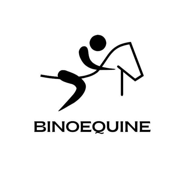 Binoequine